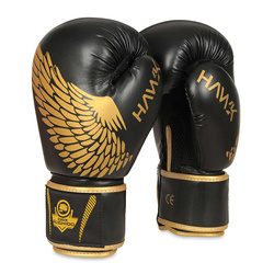 Sparring boxing gloves "HAWK" B-2v17 Active Clima 14 oz