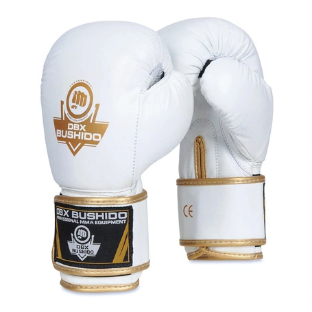 Boxing Gloves 10oz - Spirit - Valor Series