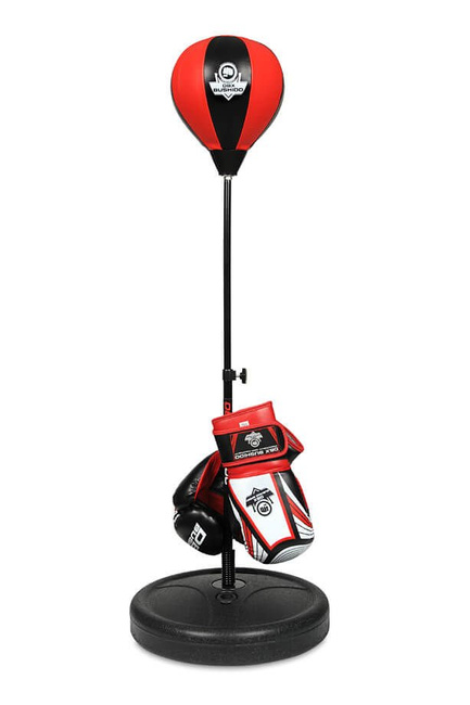 DBX PRO set - Standing boxing bag + boxing gloves + pump + keychain