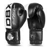 Boxing Gloves 12oz - Harmony - Valor Series