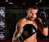 Boxing Gloves 10oz - Infinity - Origin Series