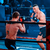 E1V3 DBX BUSHIDO XL MMA gloves
