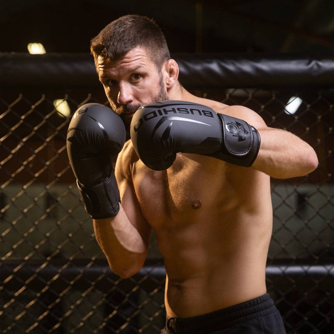 Boxing Gloves 12oz - Raptor - Origin Series