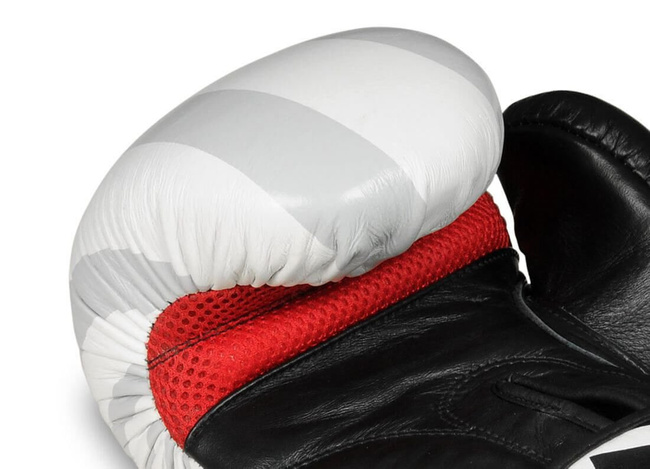 Boxing Gloves 12oz - Japan - Valor Series