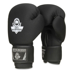 Boxing Gloves 10oz - EverClean - seria Origin