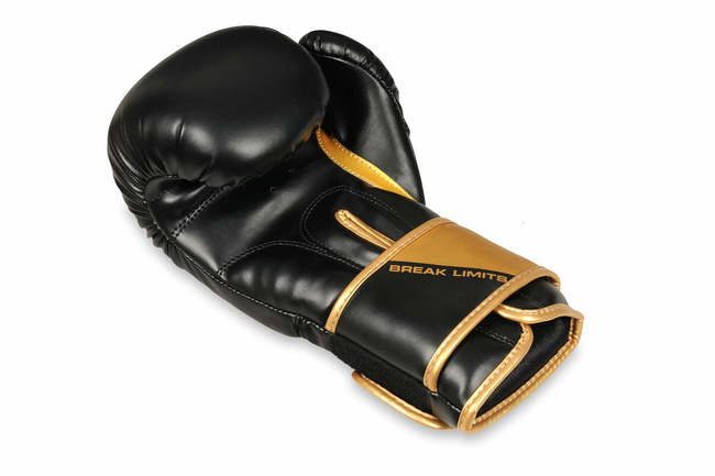 Boxing and sparring gloves B-2v10 14 oz