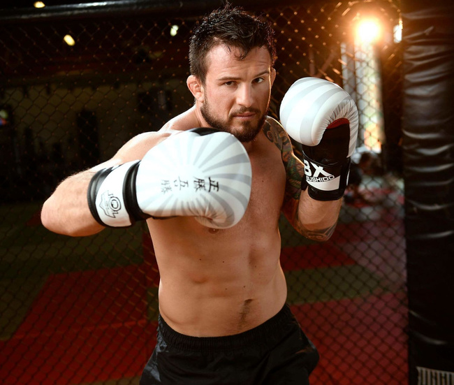 Boxing Gloves 12oz - Japan - Valor Series