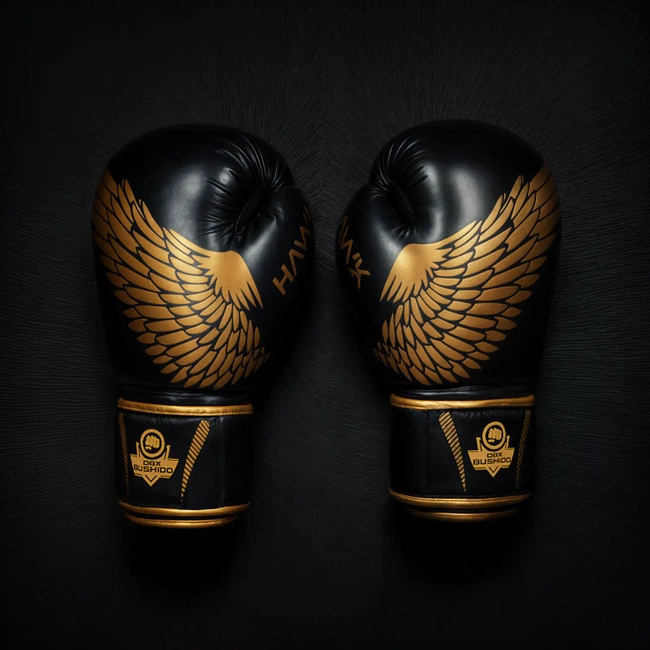 Boxing Gloves 10oz - Hawk - Origin Series