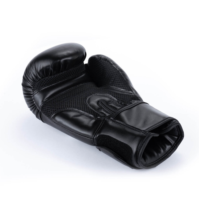 Boxing Gloves 10oz - Classic Black - Origin Series