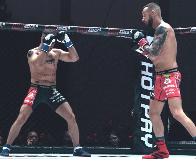 Boxing Gloves 12oz - Classic White - Origin Series