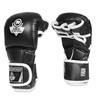 Master MMA gloves DBX BUSHIDO M