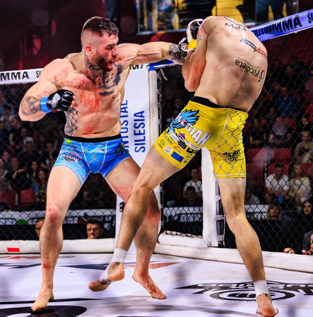 E1V3 DBX BUSHIDO XL MMA gloves
