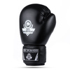 Boxing Gloves 10oz - Classic Black - Origin Series