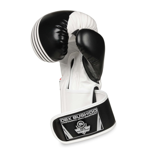Boxing Gloves 10oz - Edge - Valor Series