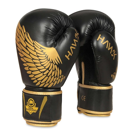 Sparring boxing gloves "HAWK" B-2v17 Active Clima 14 oz