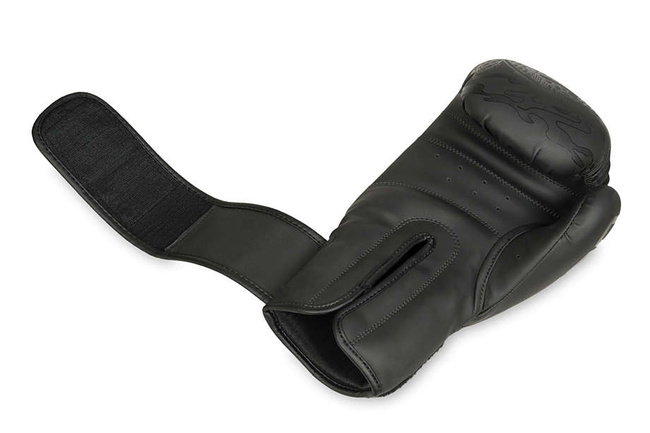 DBX BUSHIDO "Black Dragon" B-2v18 sparring boxing gloves 8oz