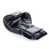 B-ProFight-12oz gloves