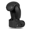 Raptor sparring boxing gloves - B-2v22 14 oz