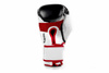 BUSHIDO SPARRING BOXING GLOVES 14oz B-2v3