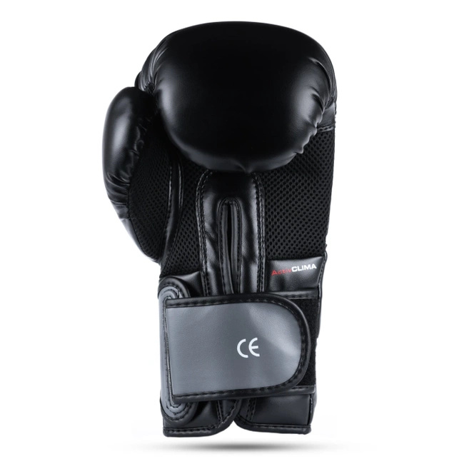 Training Boxing Gloves - Sparring - DBX-B-2v9 - 12 oz