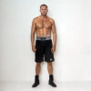 SILVER training boxing shorts