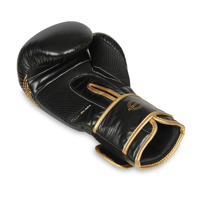 Boxing Gloves 12oz - Aureos - Valor Series
