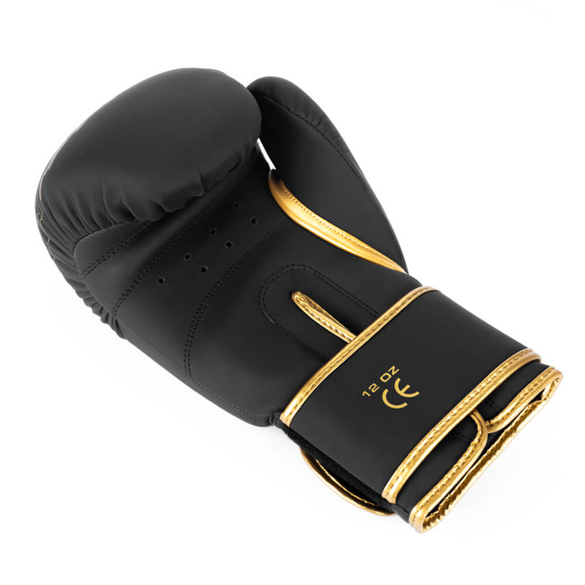 Boxing Gloves 12oz - Gold Dragon - Valor Series