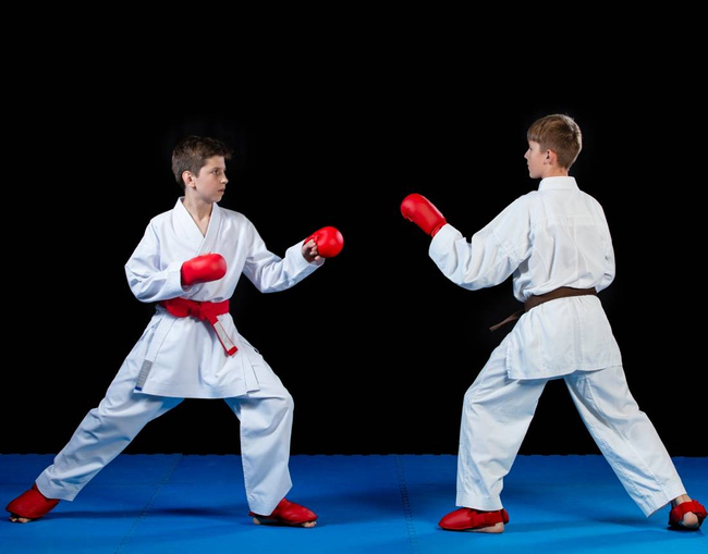 WKF karate gloves - red L wristbands