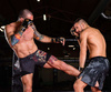 ARM-2011d MMA gloves DBX BUSHIDO L