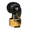 Boxing and sparring gloves B-2v10 14 oz