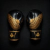 Boxing Gloves 10oz - Hawk - Origin Series