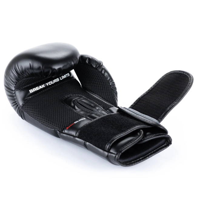 Training Boxing Gloves - Sparring - DBX-B-2v9 - 12 oz