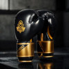 Boxing and sparring gloves B-2v10 8 oz