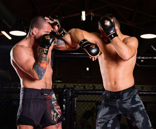 ARM-2011d MMA gloves DBX BUSHIDO L