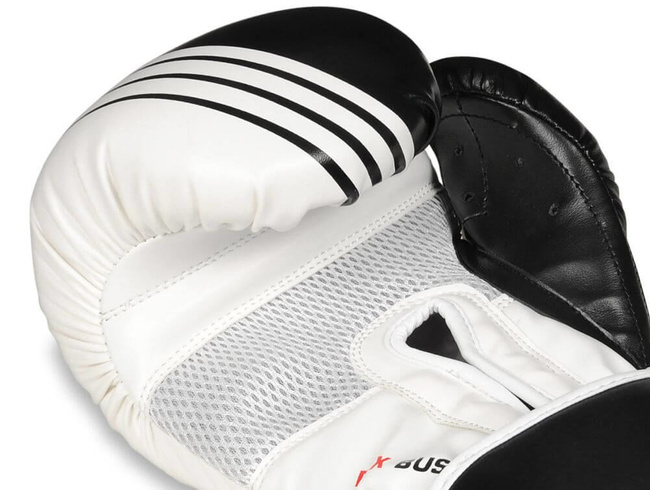 Boxing Gloves 10oz - Edge - Valor Series