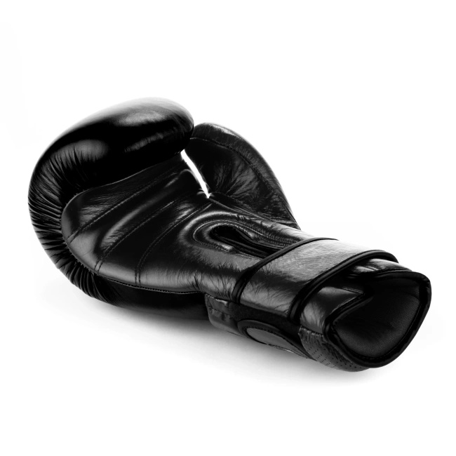 Warrior BLACK boxing gloves DBX BUSHIDO