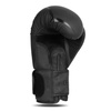 Boxing Gloves 12oz - Raptor - Origin Series