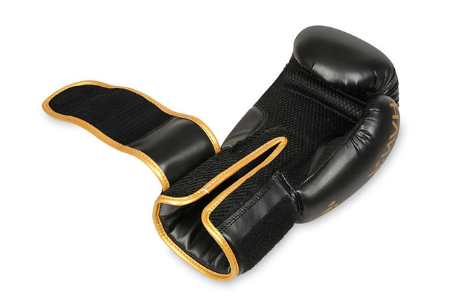 Sparring boxing gloves "HAWK" B-2v17 Active Clima 16 oz