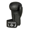 DBX BUSHIDO "Black Dragon" B-2v18 sparring boxing gloves 8oz