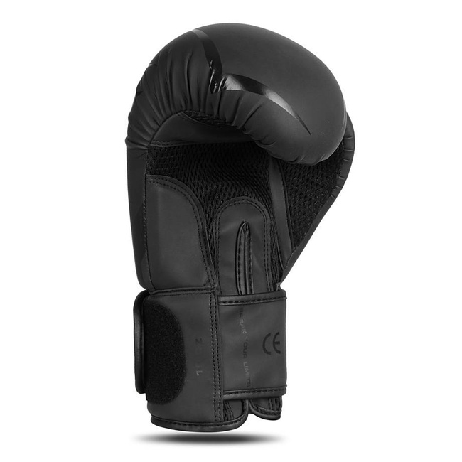 Boxing Gloves 12oz - Raptor - Origin Series