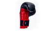 Boxing Gloves 10oz - Phantom Red - Valor Series