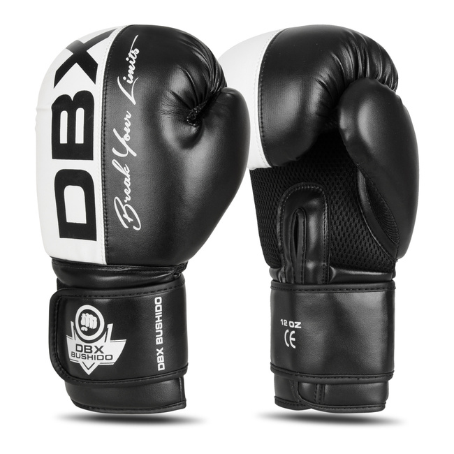 Boxing Gloves 12oz - Harmony - Valor Series