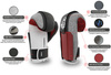 Boxing Gloves 10oz - Phantom Red - Valor Series