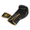 Boxing gloves made of natural leather B-2v13 10 oz