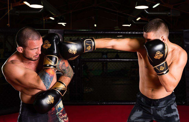 Boxing Gloves 10oz - Aureos - Valor Series