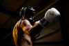 LEATHER BOXING GLOVES - BUSHIDO - WHITE 14oz Model: DBD-B-2