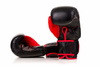 Boxing Gloves 10oz - Ninja - Legacy Series