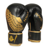 Sparring boxing gloves "HAWK" B-2v17 Active Clima 10 oz