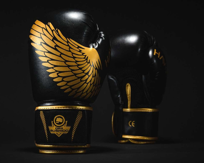 Sparring boxing gloves "HAWK" B-2v17 Active Clima 16 oz