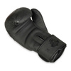 DBX BUSHIDO "Black Dragon" B-2v18 sparring boxing gloves 14oz